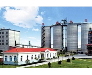 蕪湖某水泥有點公司